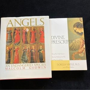 Two Beautiful Books About Angels “Angels an Endangered Species HB&pb